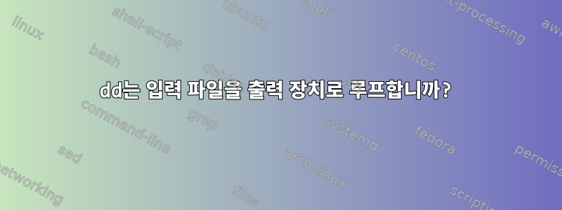 dd는 입력 파일을 출력 장치로 루프합니까?