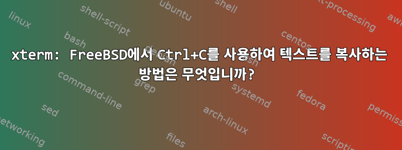 xterm: FreeBSD에서 Ctrl+C를 사용하여 텍스트를 복사하는 방법은 무엇입니까?