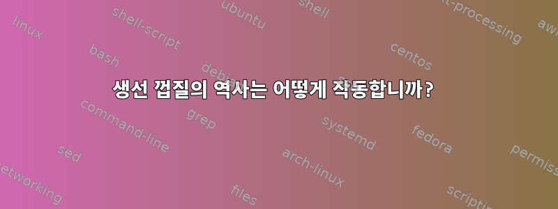 생선 껍질의 역사는 어떻게 작동합니까?