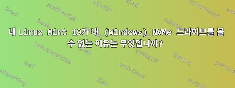 내 Linux Mint 19가 내 (Windows) NVMe 드라이브를 볼 수 없는 이유는 무엇입니까?