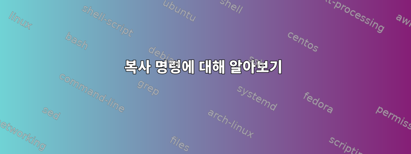 복사 명령에 대해 알아보기