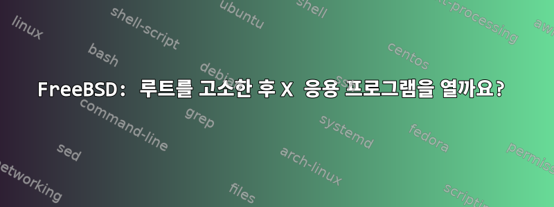 FreeBSD: 루트를 고소한 후 X 응용 프로그램을 열까요?