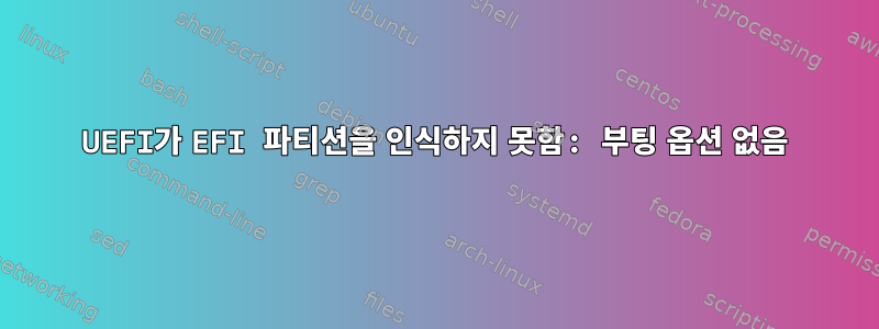 UEFI가 EFI 파티션을 인식하지 못함: 부팅 옵션 없음