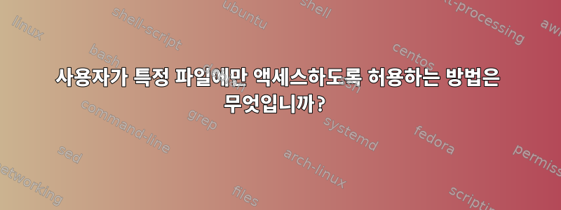 사용자가 특정 파일에만 액세스하도록 허용하는 방법은 무엇입니까?