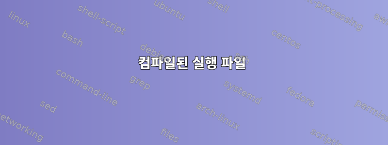 컴파일된 실행 파일