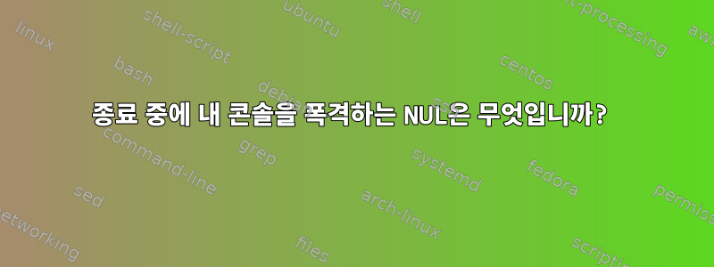 종료 중에 내 콘솔을 폭격하는 NUL은 무엇입니까?