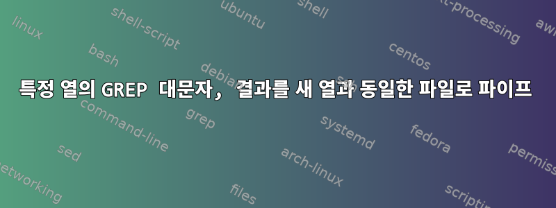 특정 열의 GREP 대문자, 결과를 새 열과 동일한 파일로 파이프