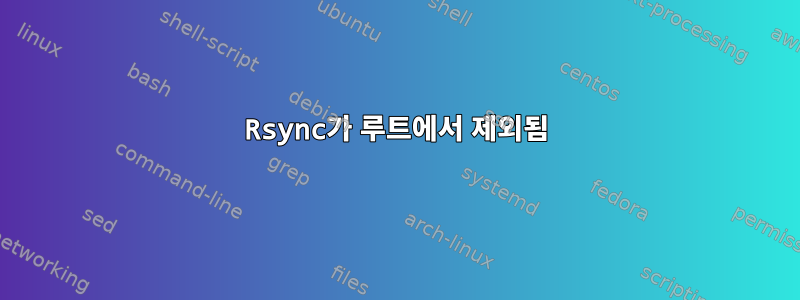 Rsync가 루트에서 제외됨