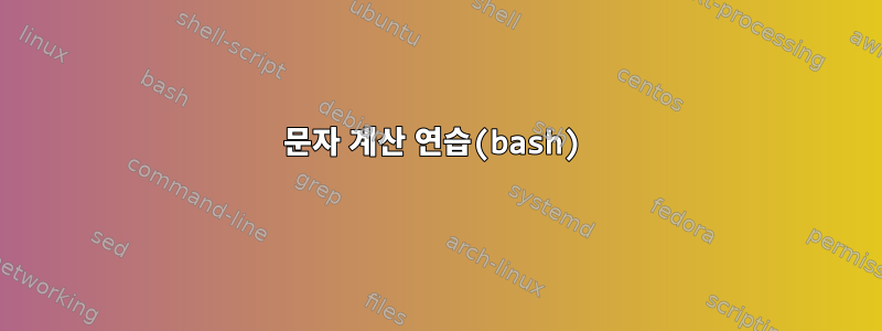 문자 계산 연습(bash)