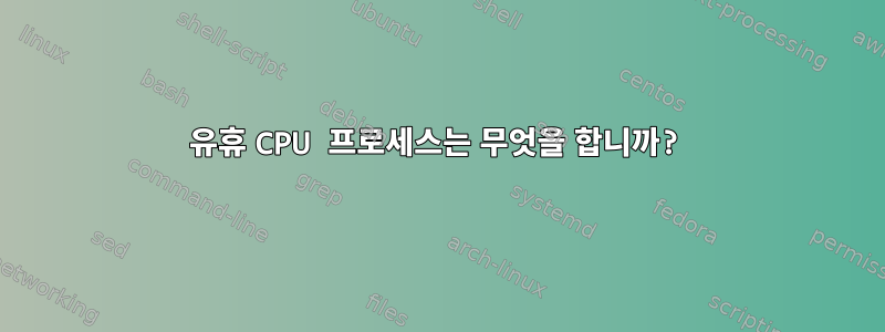 유휴 CPU 프로세스는 무엇을 합니까?