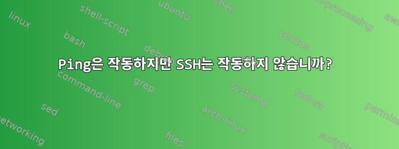 Ping은 작동하지만 SSH는 작동하지 않습니까?