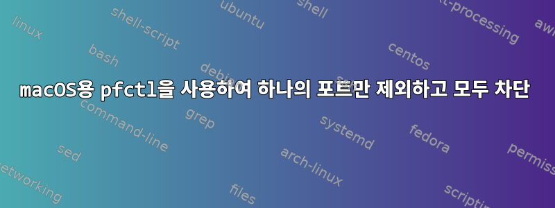 macOS용 pfctl을 사용하여 하나의 포트만 제외하고 모두 차단