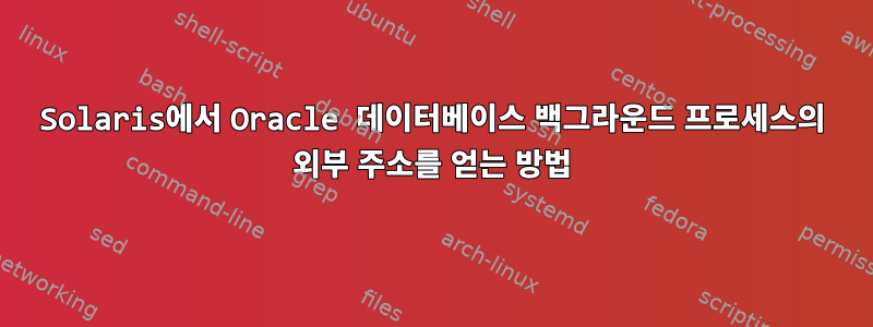 Solaris에서 Oracle 데이터베이스 백그라운드 프로세스의 외부 주소를 얻는 방법