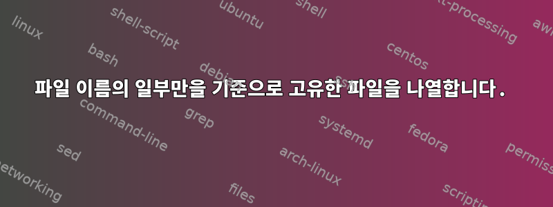 파일 이름의 일부만을 기준으로 고유한 파일을 나열합니다.