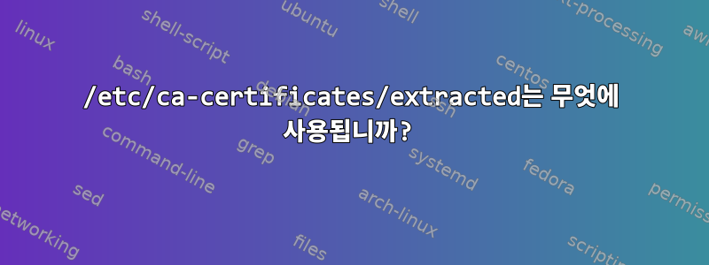 /etc/ca-certificates/extracted는 무엇에 사용됩니까?