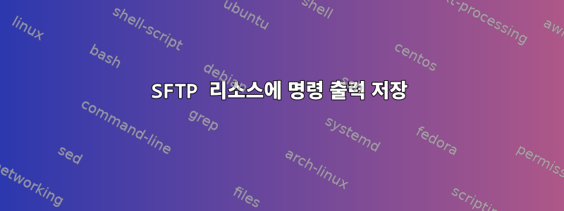 SFTP 리소스에 명령 출력 저장