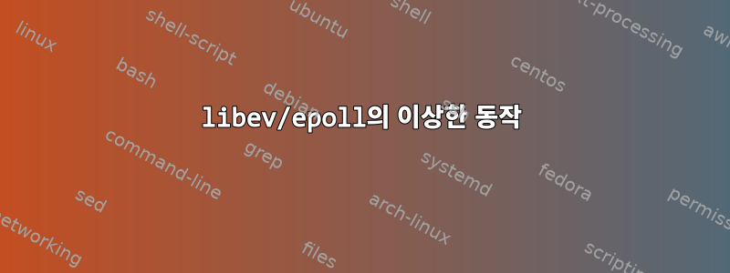 libev/epoll의 이상한 동작