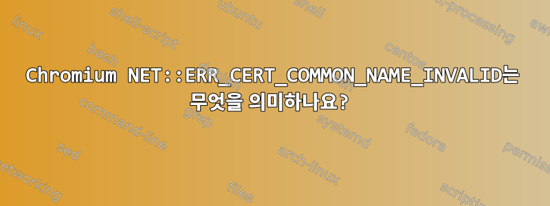 Chromium NET::ERR_CERT_COMMON_NAME_INVALID는 무엇을 의미하나요?