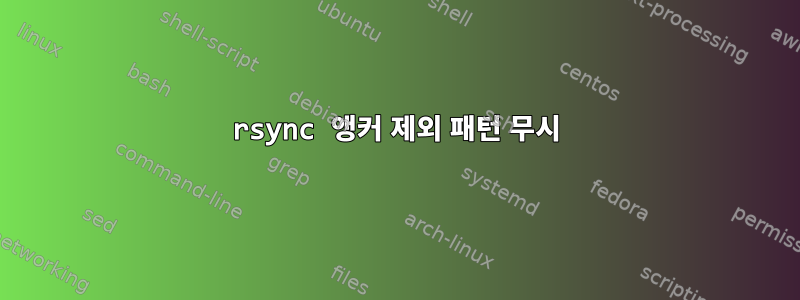 rsync 앵커 제외 패턴 무시