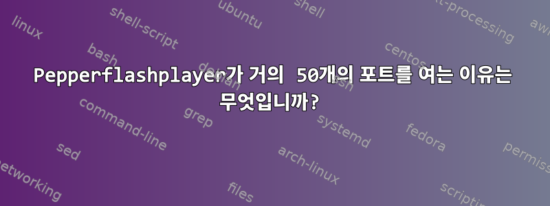 Pepperflashplayer가 거의 50개의 포트를 여는 이유는 무엇입니까?