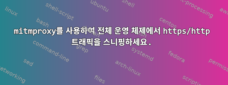 mitmproxy를 사용하여 전체 운영 체제에서 https/http 트래픽을 스니핑하세요.