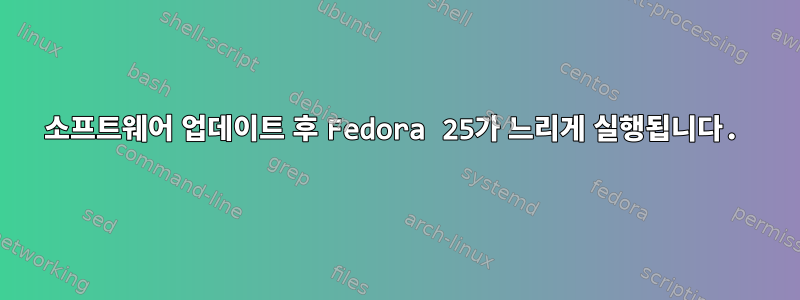 소프트웨어 업데이트 후 Fedora 25가 느리게 실행됩니다.