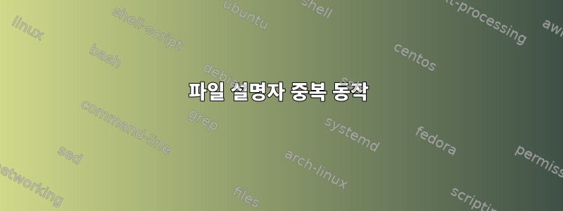 파일 설명자 중복 동작