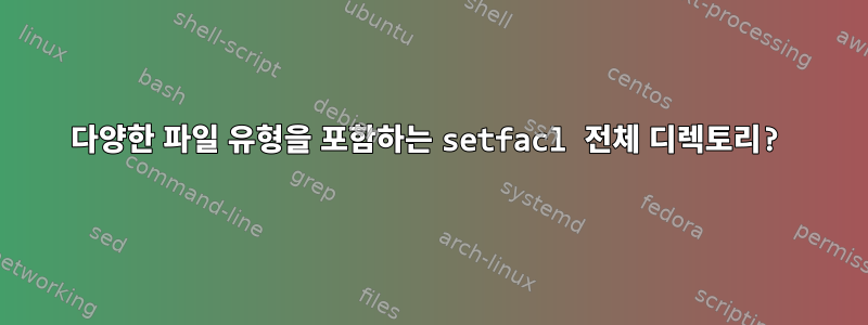 다양한 파일 유형을 포함하는 setfacl 전체 디렉토리?