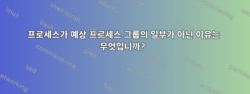 프로세스가 예상 프로세스 그룹의 일부가 아닌 이유는 무엇입니까?