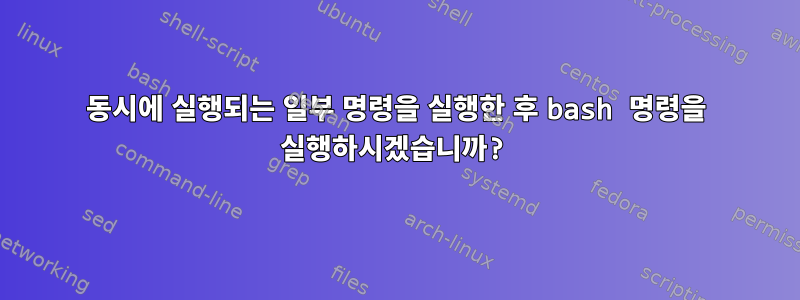 동시에 실행되는 일부 명령을 실행한 후 bash 명령을 실행하시겠습니까?