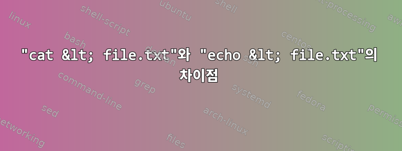 "cat &lt; file.txt"와 "echo &lt; file.txt"의 차이점