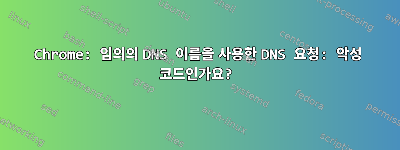 Chrome: 임의의 DNS 이름을 사용한 DNS 요청: 악성 코드인가요?