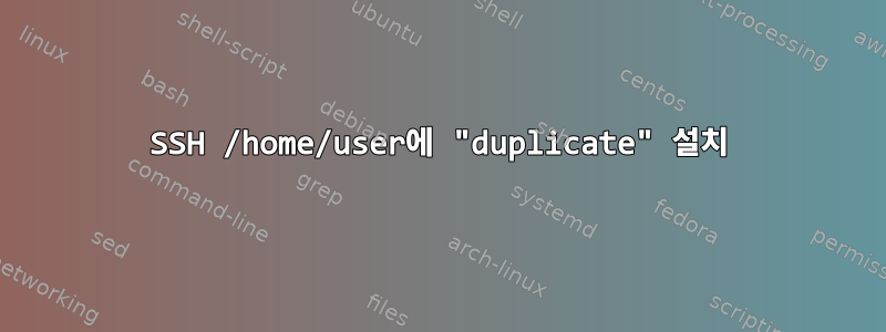 SSH /home/user에 "duplicate" 설치