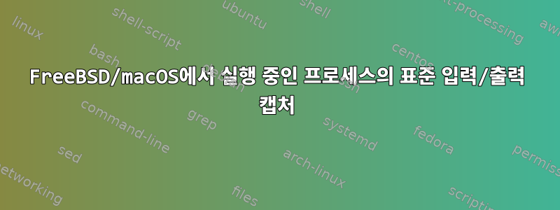 FreeBSD/macOS에서 실행 중인 프로세스의 표준 입력/출력 캡처