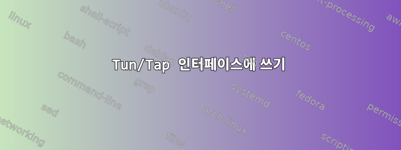 Tun/Tap 인터페이스에 쓰기