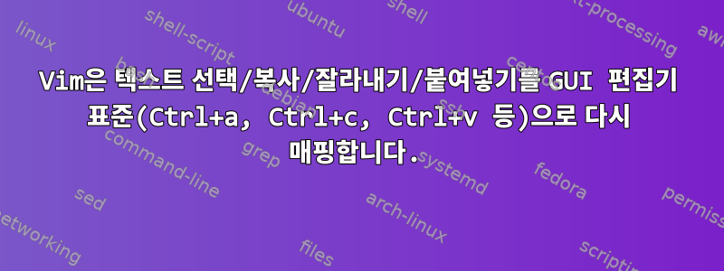 Vim은 텍스트 선택/복사/잘라내기/붙여넣기를 GUI 편집기 표준(Ctrl+a, Ctrl+c, Ctrl+v 등)으로 다시 매핑합니다.