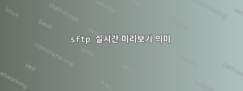 sftp 실시간 미리보기 의미