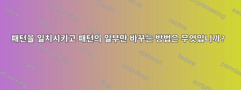 패턴을 일치시키고 패턴의 일부만 바꾸는 방법은 무엇입니까?