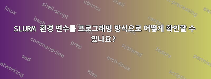 SLURM 환경 변수를 프로그래밍 방식으로 어떻게 확인할 수 있나요?