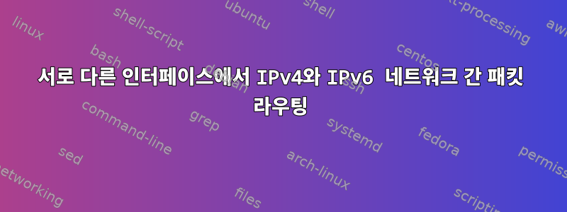 서로 다른 인터페이스에서 IPv4와 IPv6 네트워크 간 패킷 라우팅