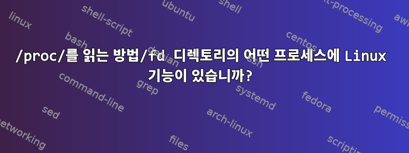 /proc/를 읽는 방법/fd 디렉토리의 어떤 프로세스에 Linux 기능이 있습니까?