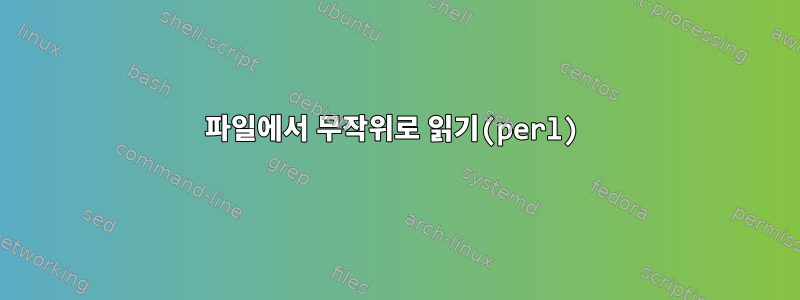 파일에서 무작위로 읽기(perl)