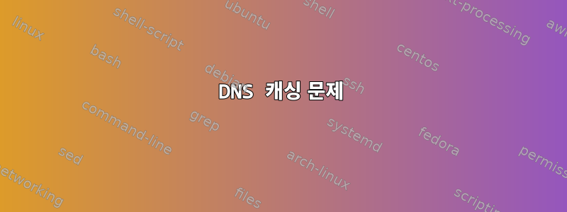 DNS 캐싱 문제