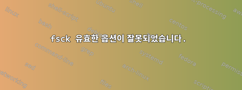 fsck 유효한 옵션이 잘못되었습니다.