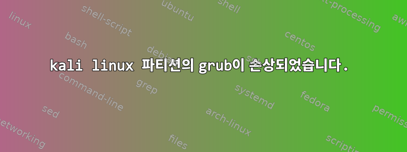 kali linux 파티션의 grub이 손상되었습니다.