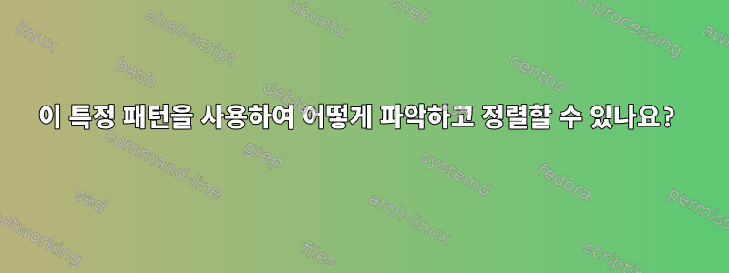 이 특정 패턴을 사용하여 어떻게 파악하고 정렬할 수 있나요?