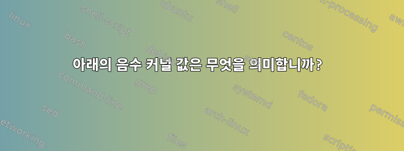 아래의 음수 커널 값은 무엇을 의미합니까?