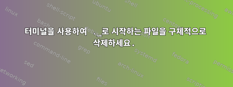 터미널을 사용하여 ._로 시작하는 파일을 구체적으로 삭제하세요.