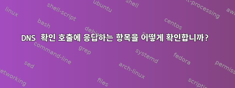 DNS 확인 호출에 응답하는 항목을 어떻게 확인합니까?