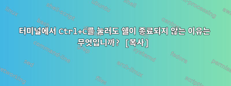 터미널에서 Ctrl+C를 눌러도 쉘이 종료되지 않는 이유는 무엇입니까? [복사]